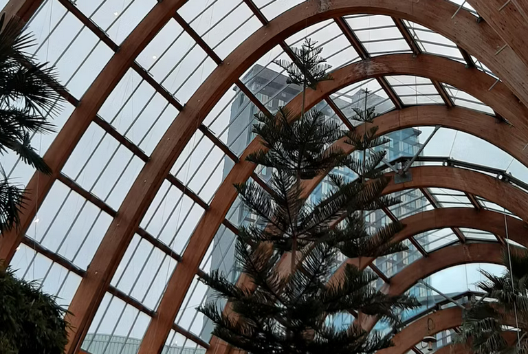 free things to do with kids in South Yorkshire