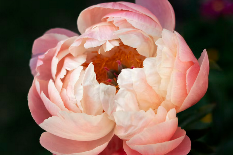 free things to do with kids in West Sussex