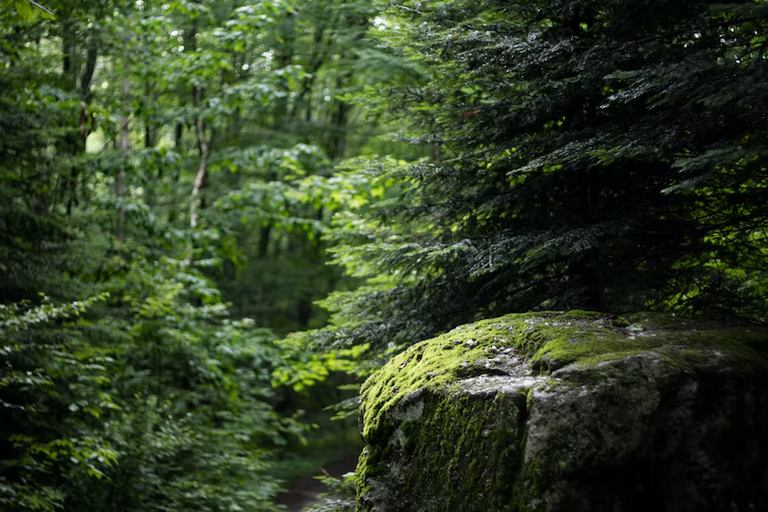 Free family days out and places to visit in Clackmannanshire