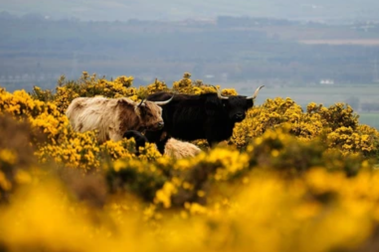 Free family days out and places to visit in Renfrewshire