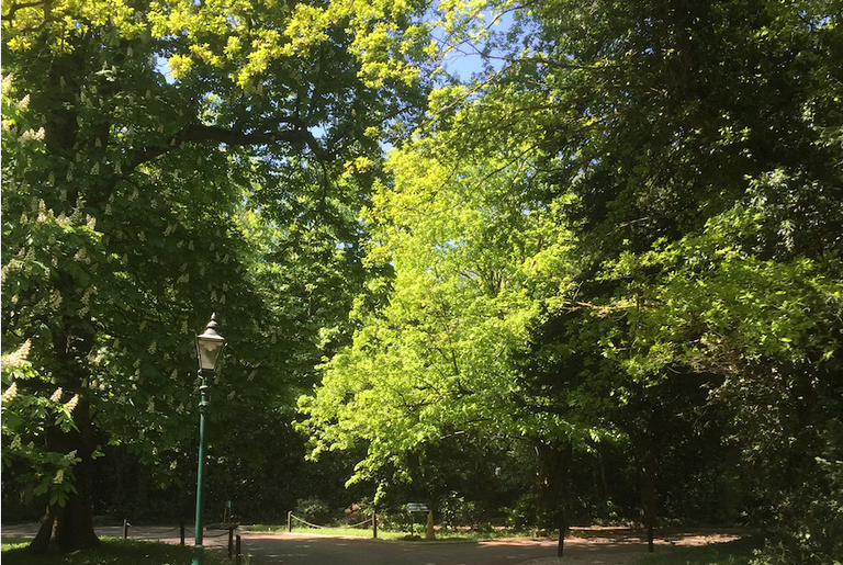 free things to do with kids in Hertfordshire