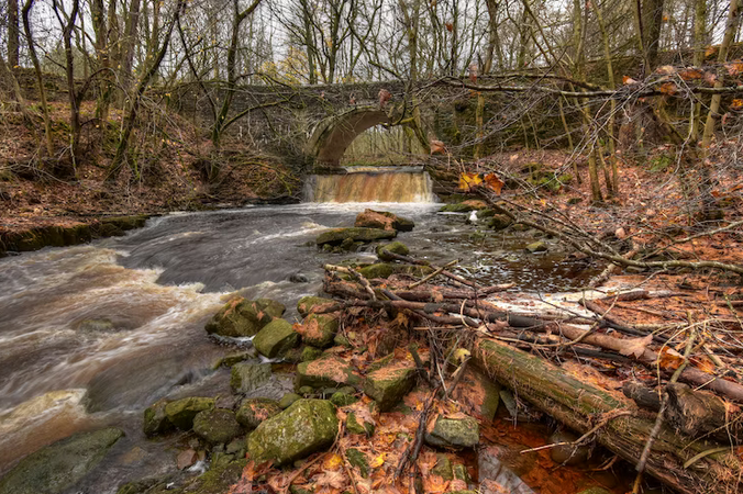 free things to do with kids in Durham