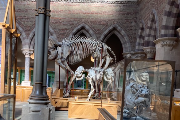 Free family days out and places to visit in Oxfordshire