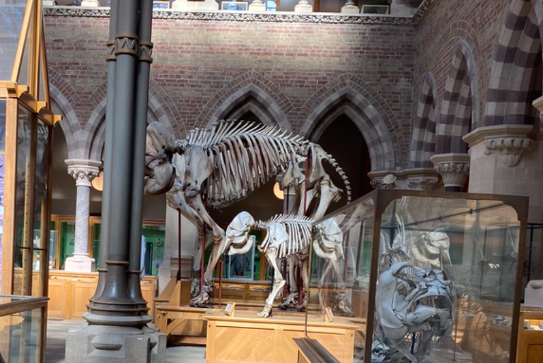 free things to do with kids in Oxfordshire