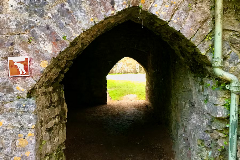 free things to do with kids in Pembrokeshire