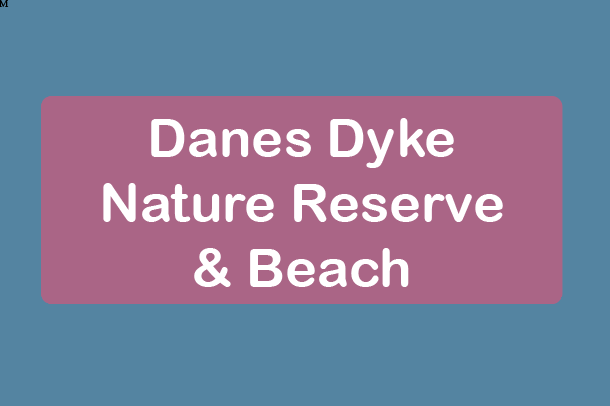 free things to do with kids in East Yorkshire