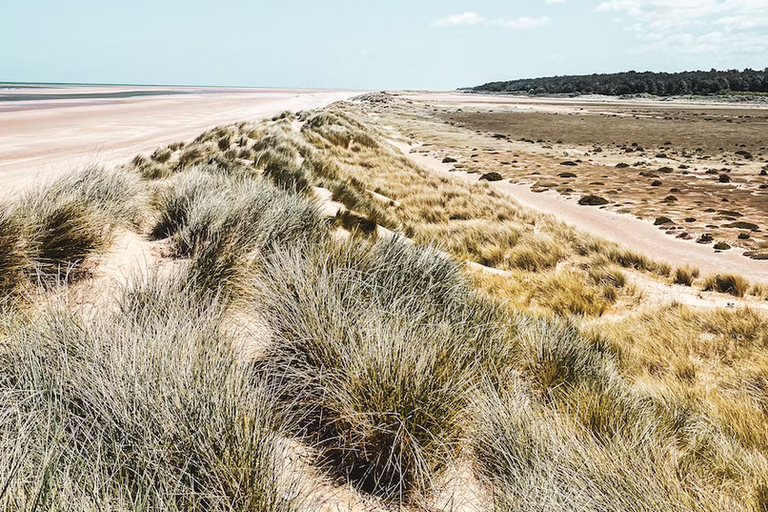 free things to do with kids in Norfolk