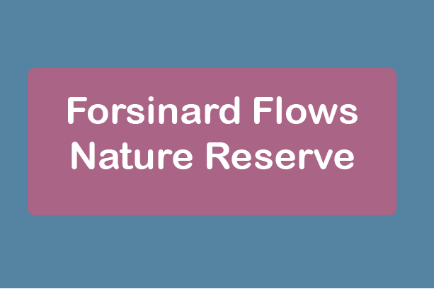 free things to do with kids in the Scottish Highlands