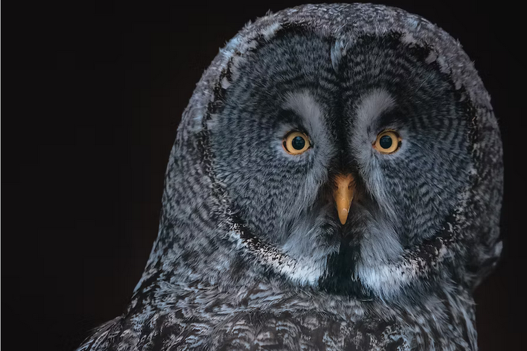 Free days out in Blaenau Gwent with kids