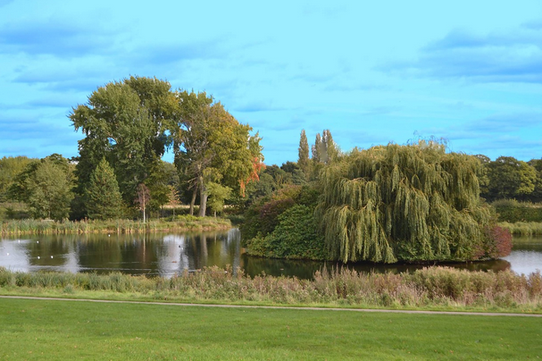 free things to do with kids in South Yorkshire