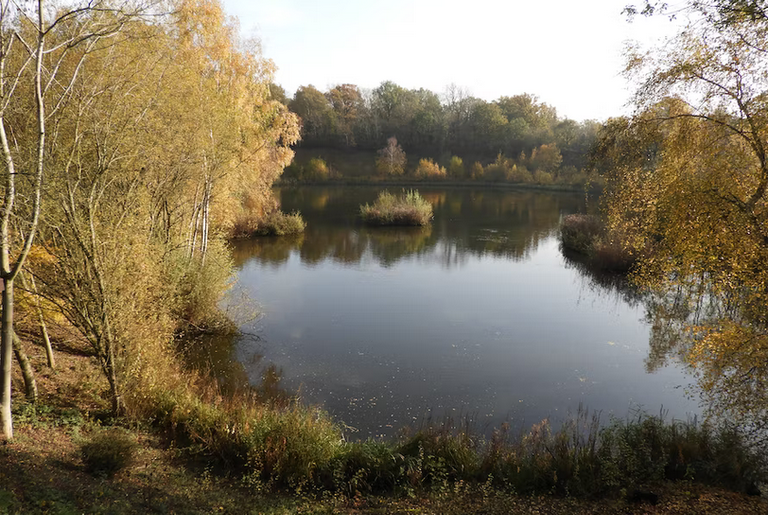 free things to do with kids in Warwickshire