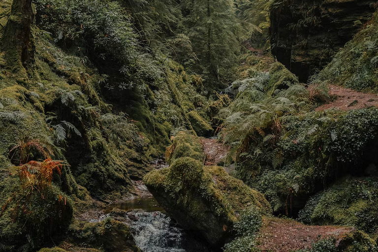 free days out with kids in Argyll and Bute