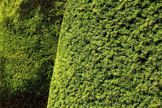 free things to do with kids in Rutland