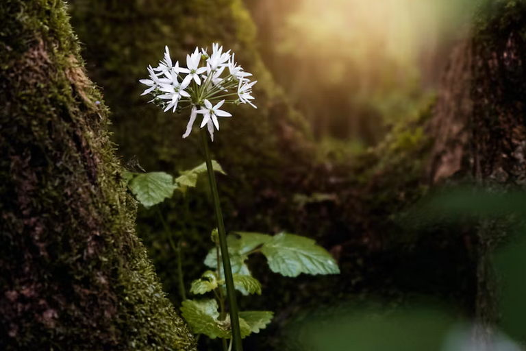 free days out with kids in County Armagh