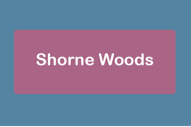 free things to do with kids in Kent