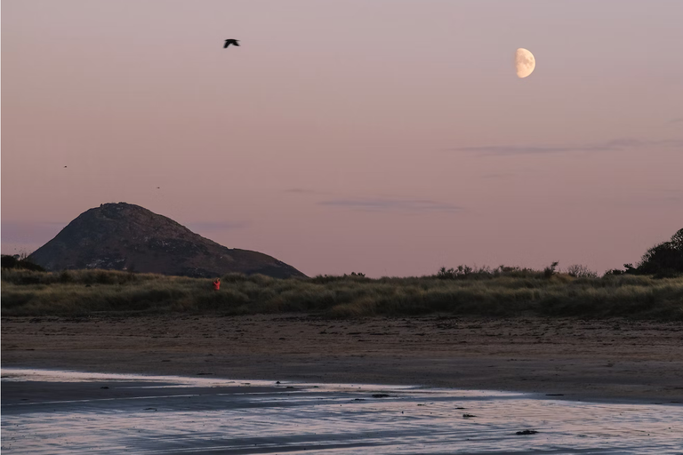 free things to do with kids in East Lothian