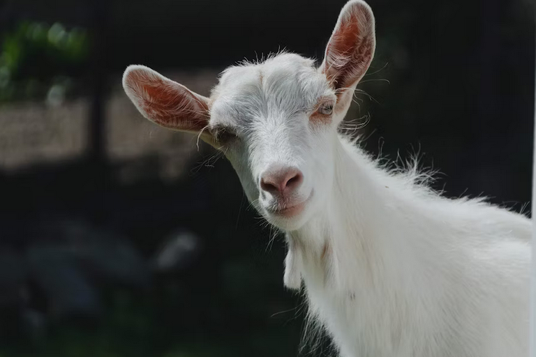 free things to do with kids in Oxfordshire