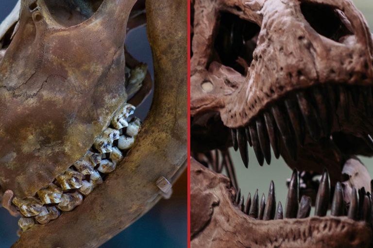 dinosaur themed activities for kids