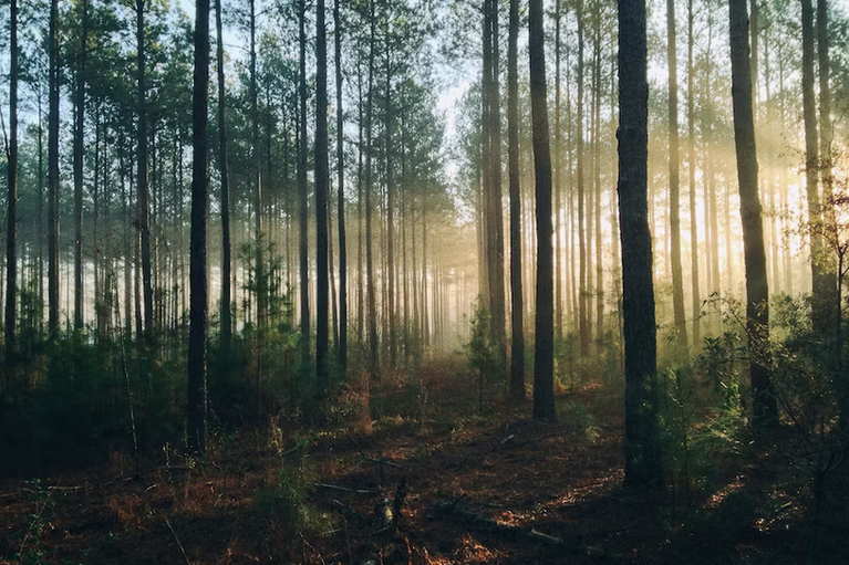 free things to do with kids in Oxfordshire