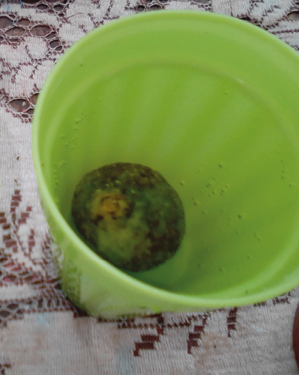 activities for kids using lemons