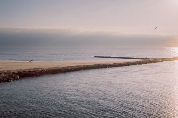 free things to do with kids in Dorset