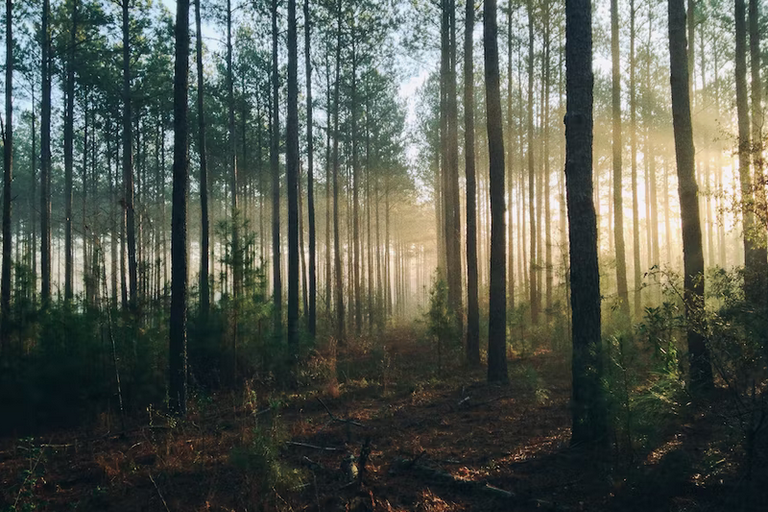 free days out with kids in Berkshire