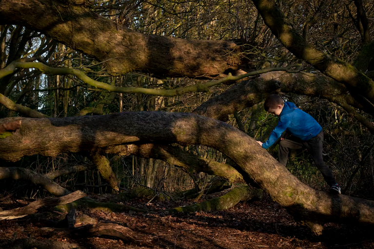 free things to do with kids in Worcestershire