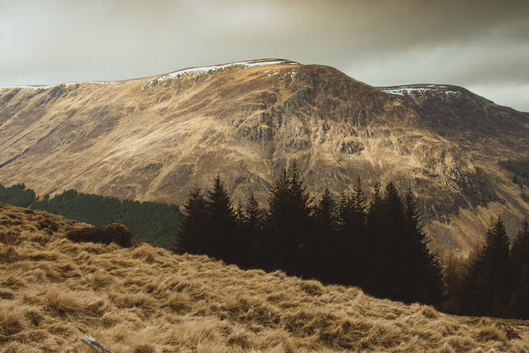 free days out with kids in Angus