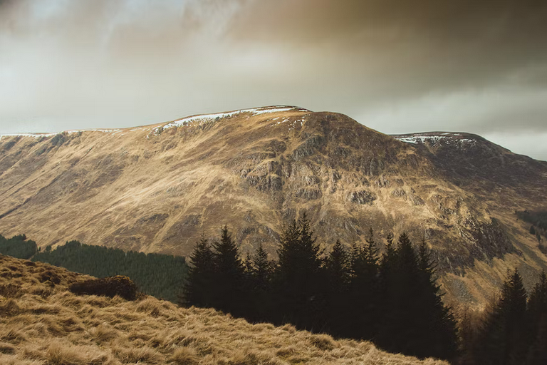 Free family days out and places to visit in Angus