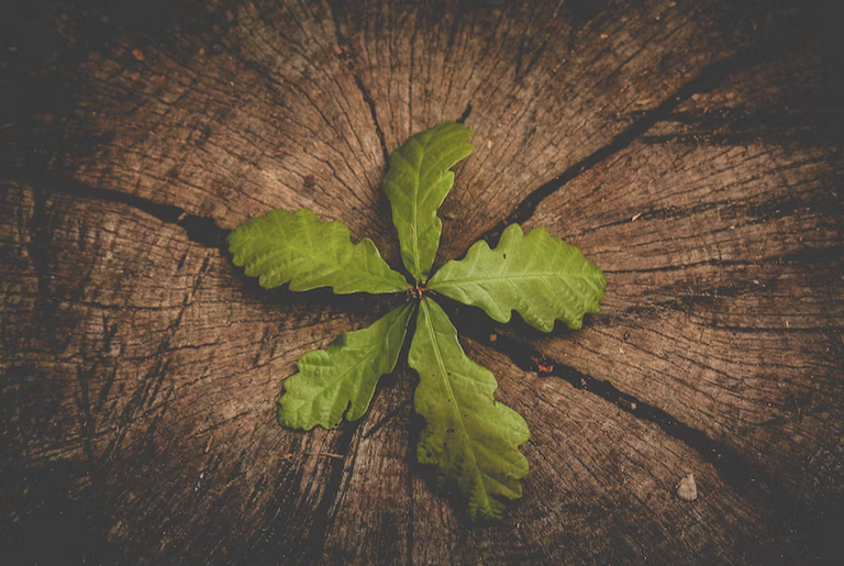 free things to do with kids in Gloucestershire