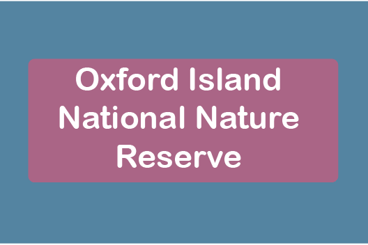 free days out with kids in County Armagh