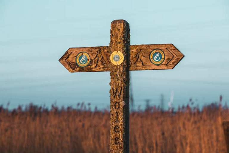 Free family days out and places to visit in Newport