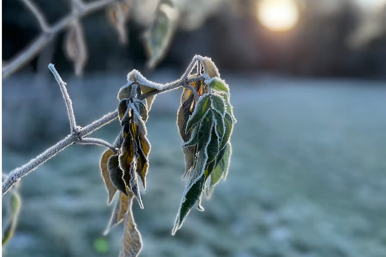 free things to do with kids in Derbyshire