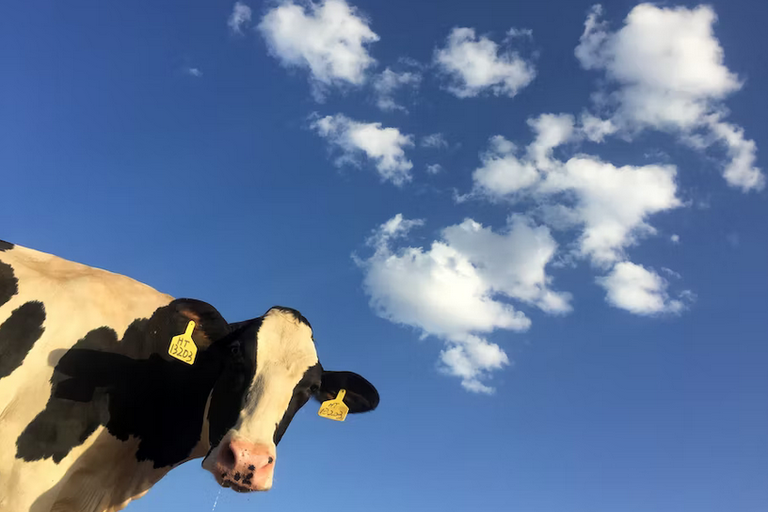 free things to do with kids in South Yorkshire