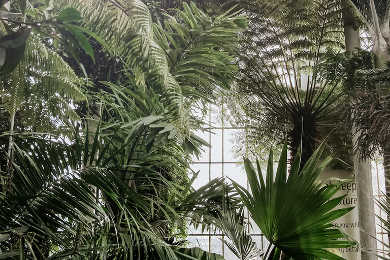 free things to do with kids in Edinburgh