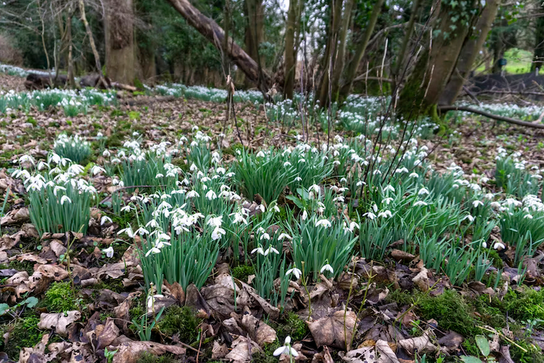 free things to do with kids in Suffolk