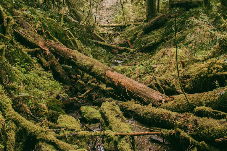 free things to do with kids in West Lothian