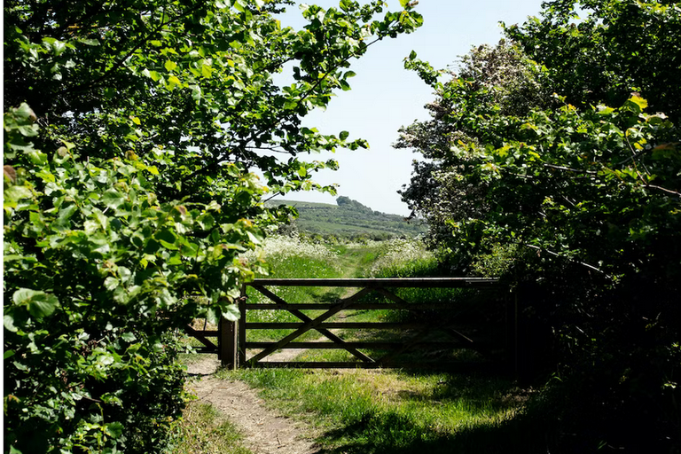 free things to do with kids in Essex