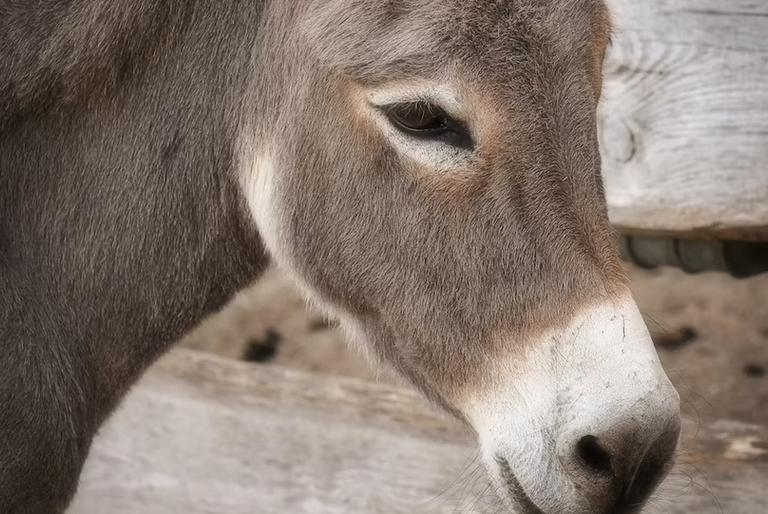 free things to do with kids in Oxfordshire