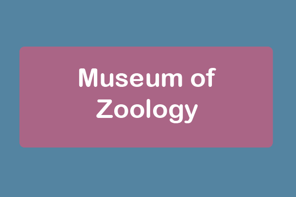 free things to do with kids in Cambridgeshire