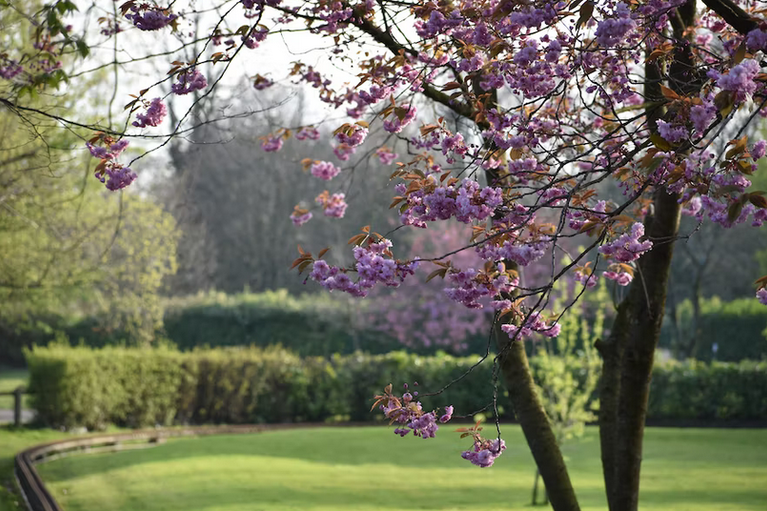 free things to do with kids in Lancashire