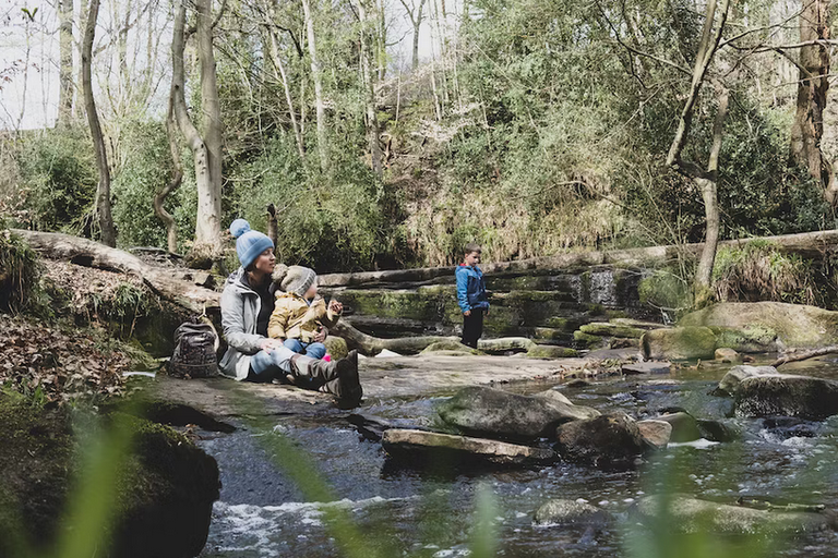 Free family days out and places to visit in South Yorkshire