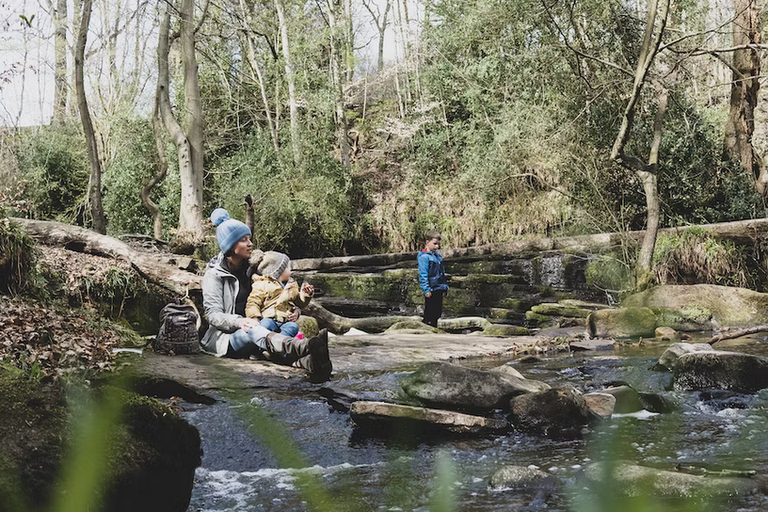 free things to do with kids in South Yorkshire