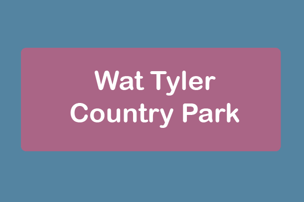 free things to do with kids in Essex