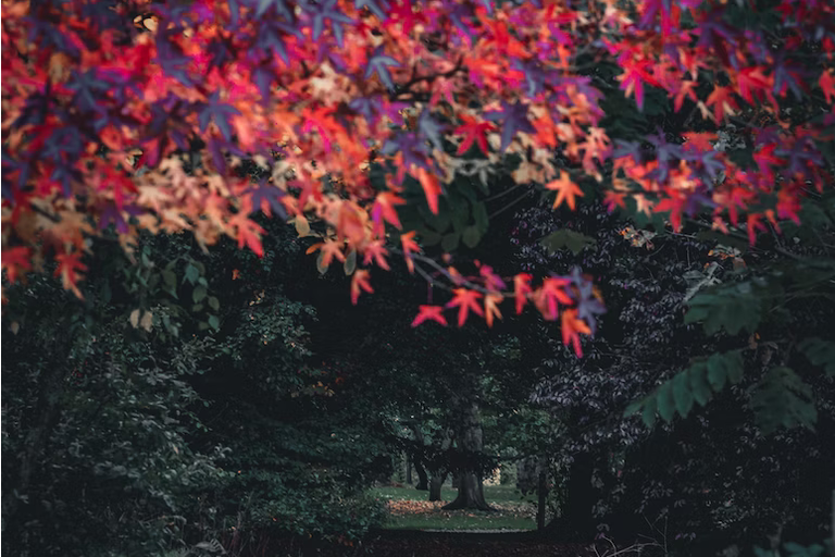 free things to do with kids in Cardiff