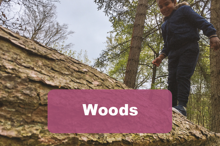 activites for kids to play in the woods