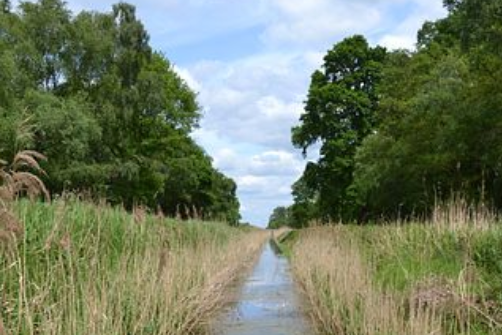 free things to do with kids in Cambridgeshire