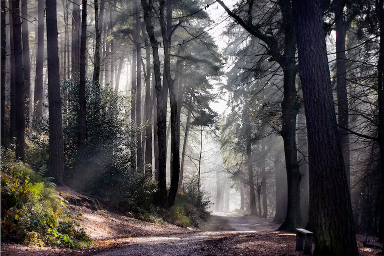 Free family days out and places to visit in West Midlands