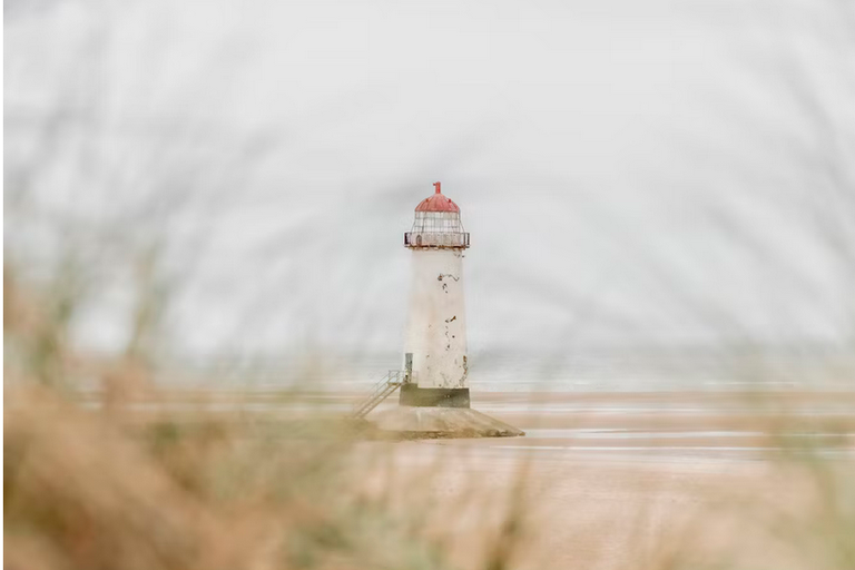 free things to do with kids in Flintshire