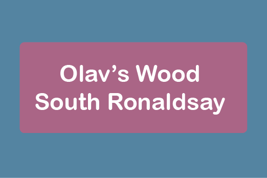 free things to do with kids in Orkney